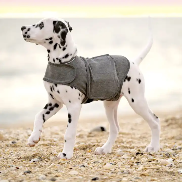 Red Light Therapy Vest For Pets (Medical Grade Pain Relief Wrap)
