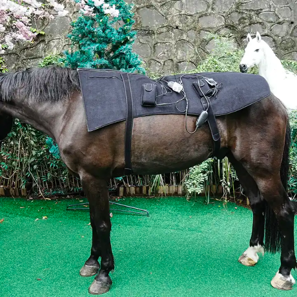 Red Light Therapy Horse Blanket (Medical Grade Infrared Pad)