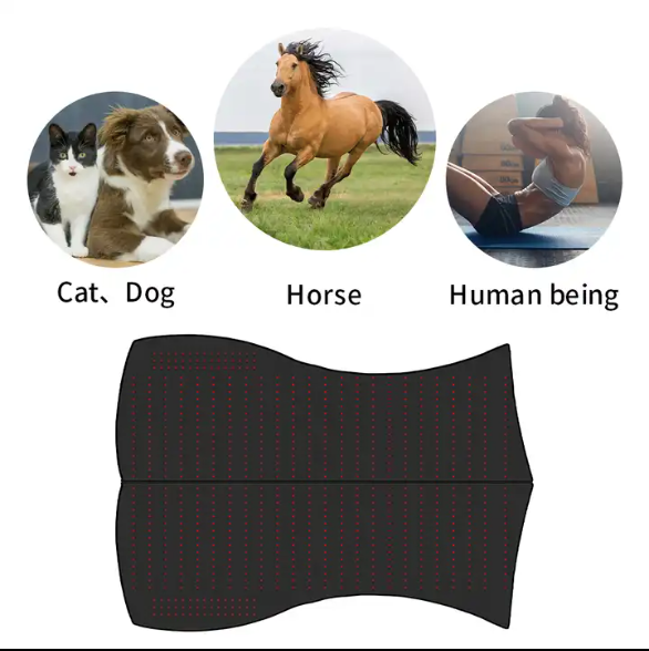Red Light Therapy Horse Blanket (Medical Grade Infrared Pad)