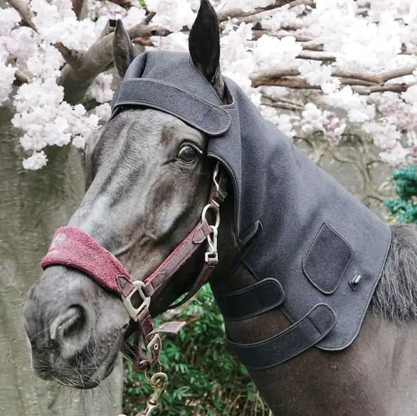 Red Light Therapy Horse Blanket (Medical Grade Infrared Pad)