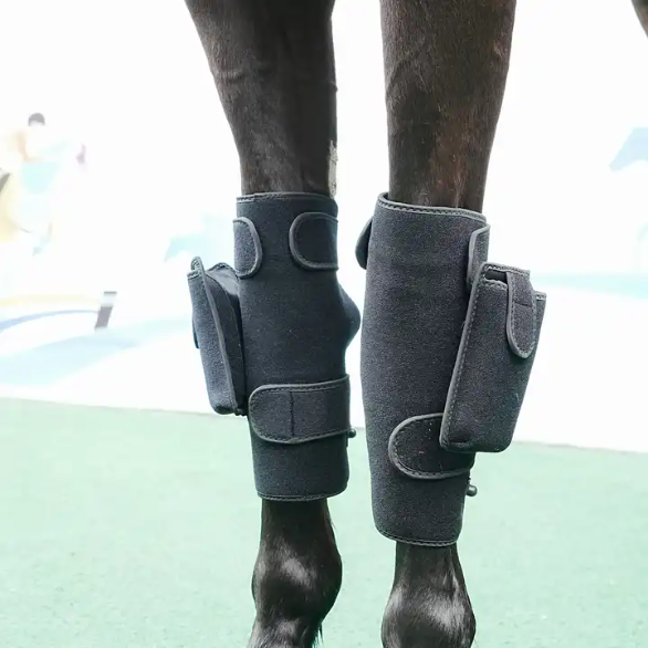 Red Light Therapy Horse Blanket (Medical Grade Infrared Pad)