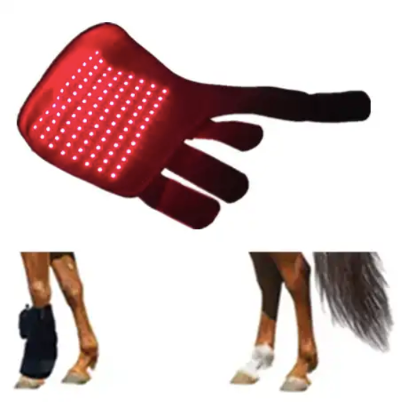 Red Light Therapy for Horses Boot (Medical Grade Muscle Injury Knee Pad)