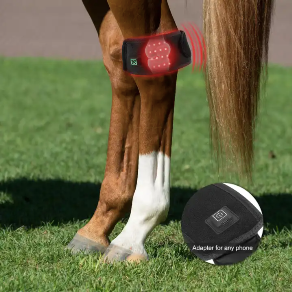 Red Light Therapy For Horses Boot Small (Medical Grade Infrared Hoof Wrap)