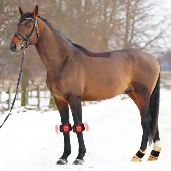 Red Light Therapy For Horses Boot Small (Medical Grade Infrared Hoof Wrap)