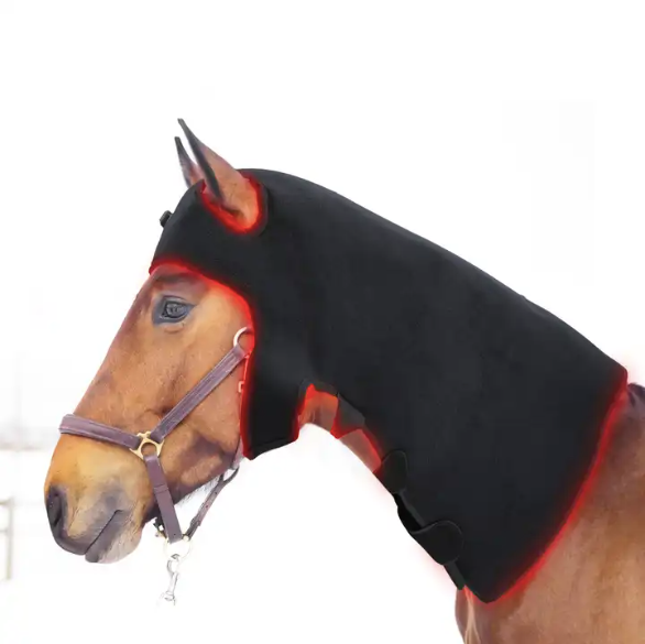 Red Light Therapy Horse Head Wrap (Medical Grade Infrared Head Wrap)