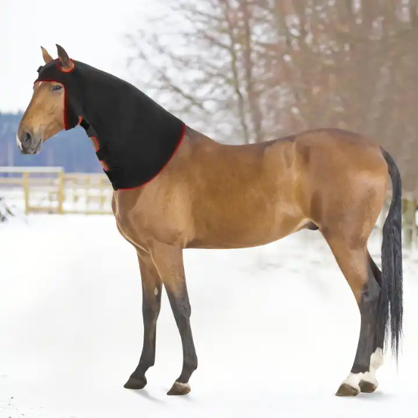 Red Light Therapy Horse Head Wrap (Medical Grade Infrared Head Wrap)